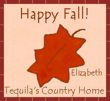 Thank you Liz!