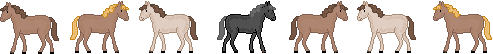 horsesline