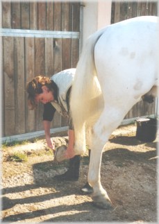 november 1999