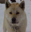Click here to get info on Roxie