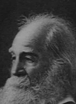 Poeta Walt Whitman