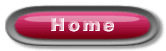 zur�ck nach die Homepage