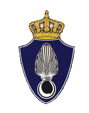 internationale politiesites