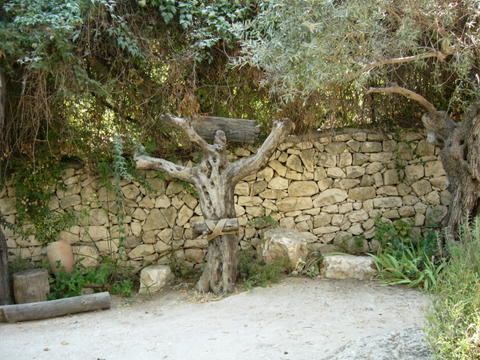 Cross = Tree
