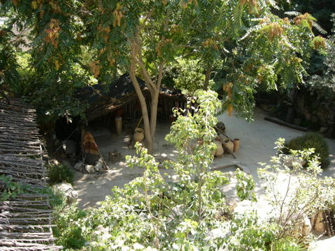 The Garden