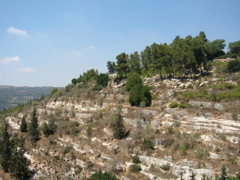 Hillside near Ain Kerim