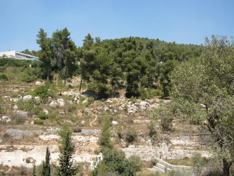 Hillside near Ain Kerim