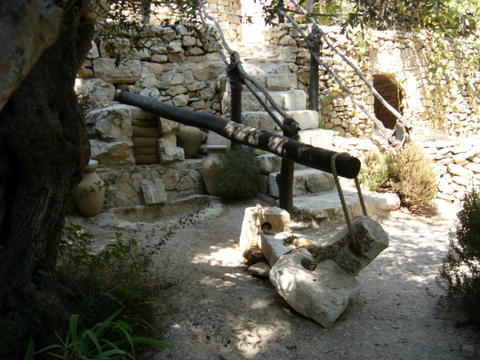 Olive Press