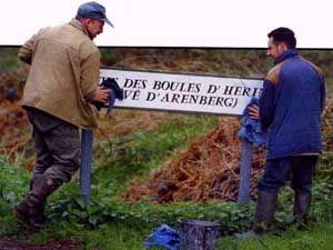 La foresta di Arenberg: la storia della Roubaix passa tutta di qui...