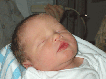 a5.gif (25295 bytes)