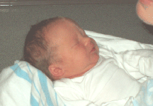 a6.gif (26210 bytes)