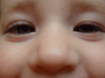 er4.gif (21354 bytes)
