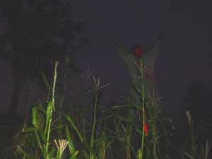 ScareCrow