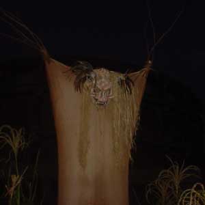 Another scarecrow with a dead things head