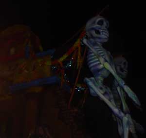 Parade Float