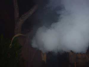 FOG