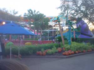 Pumpkins and Giant Squid