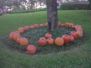 Circle of pumpkins