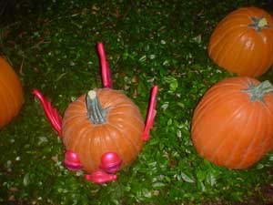 Pumpkin with face