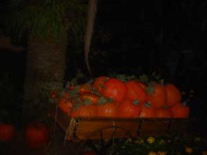 Pumpkin Wagon