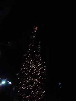 lights