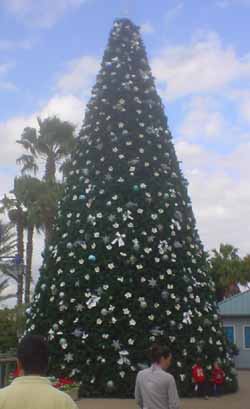 X-Mas Tree