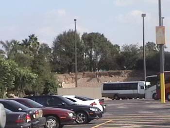 Landscaping in the parking lot.