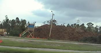 Mulch Pile