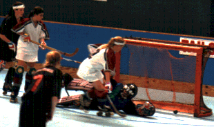 roller.gif (32871 bytes)