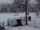 back_yard.JPG
