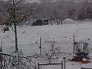 back_yard_looking_north.JPG