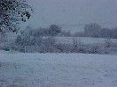 front_yard_looking_south.JPG