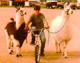 Marty and Boys.jpg (19871 bytes)