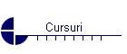 Cursuri