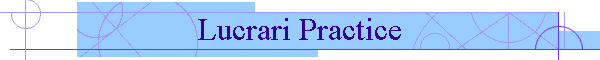 Lucrari Practice