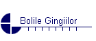 Bolile Gingiilor