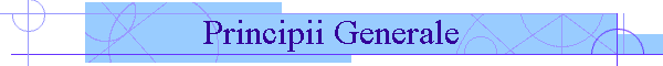 Principii Generale