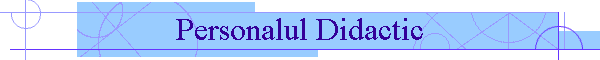 Personalul Didactic