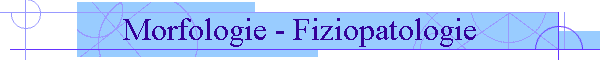 Morfologie - Fiziopatologie