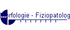 Morfologie - Fiziopatologie