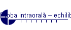 Proba intraoral� – echilibrarea ocluzal�