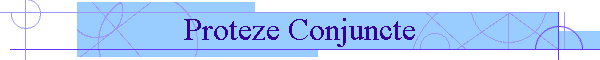 Proteze Conjuncte