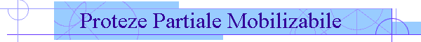 Proteze Partiale Mobilizabile