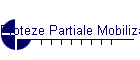 Proteze Partiale Mobilizabile