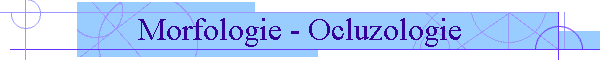 Morfologie - Ocluzologie