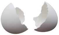 Broken Egg