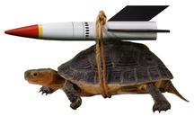 Rocket Turtle