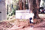 Marangu Gate