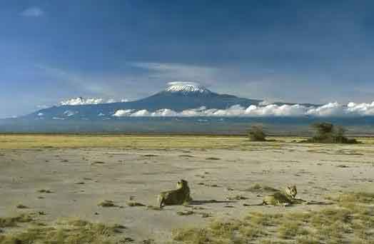 Kilimanjaro