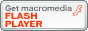 Get flash player